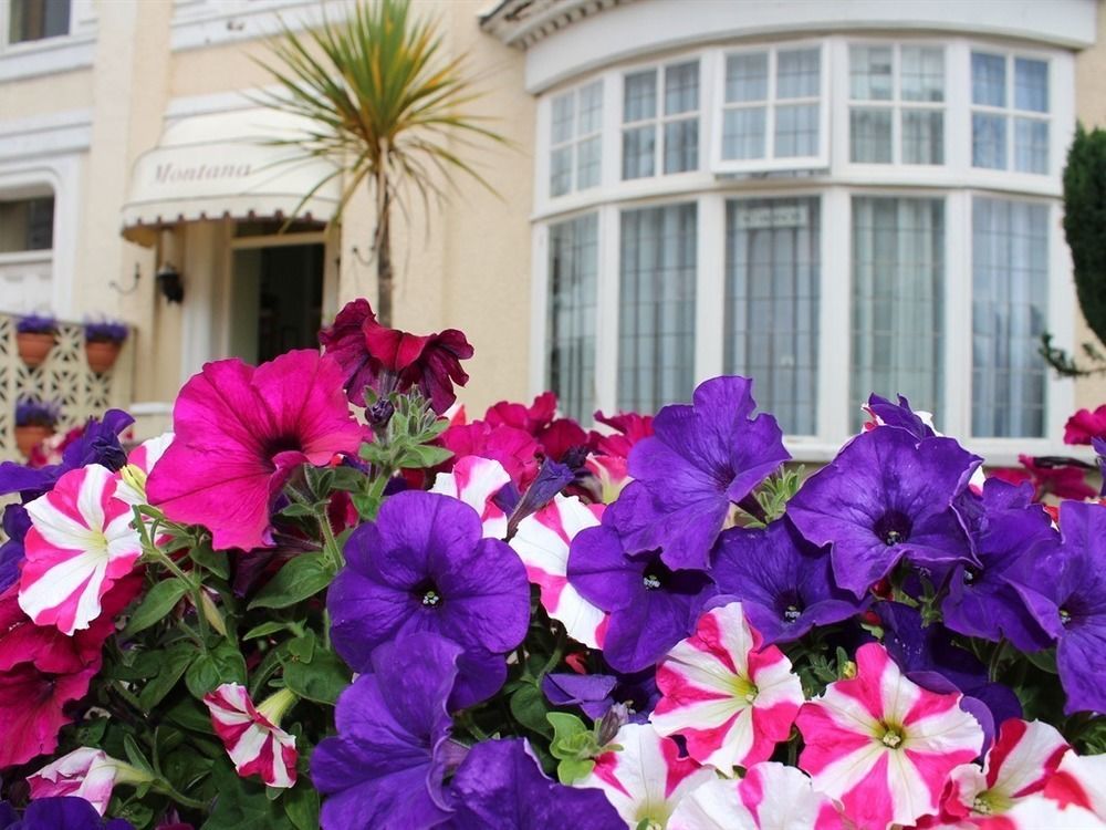 The Montana Bed and Breakfast Torquay Eksteriør billede